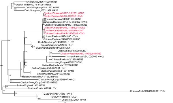 https://cdn.ncbi.nlm.nih.gov/pmc/blobs/3f18/2901269/c59f86e64562/1743-422X-7-137-5.jpg