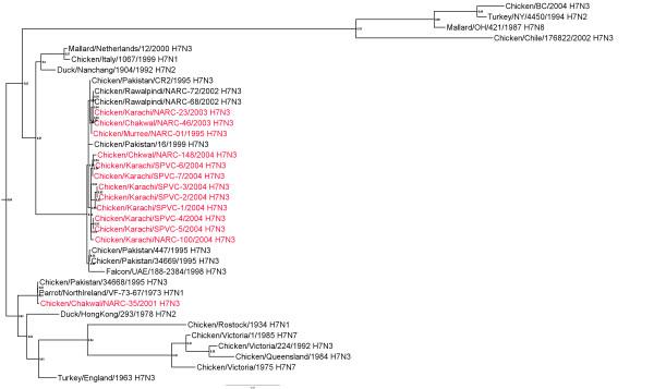 https://cdn.ncbi.nlm.nih.gov/pmc/blobs/3f18/2901269/c8499eb91877/1743-422X-7-137-1.jpg