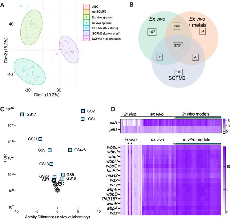 https://cdn.ncbi.nlm.nih.gov/pmc/blobs/3f1a/10986534/70bf206e3fa1/spectrum.03157-23.f005.jpg