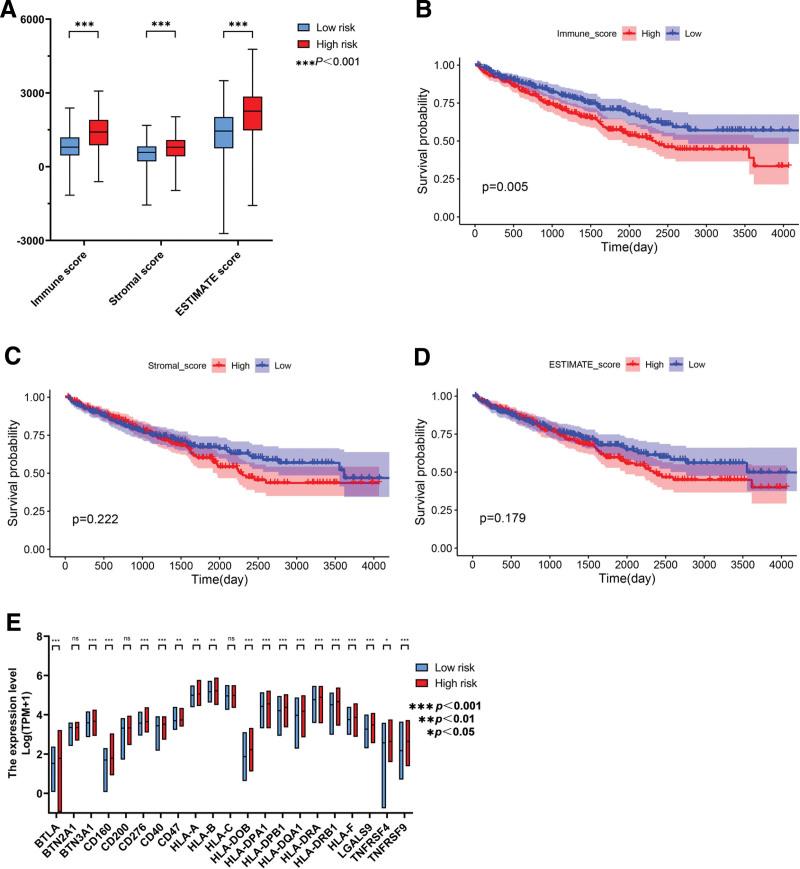 https://cdn.ncbi.nlm.nih.gov/pmc/blobs/3f1a/11441883/34da1bd67607/medi-103-e39874-g009.jpg