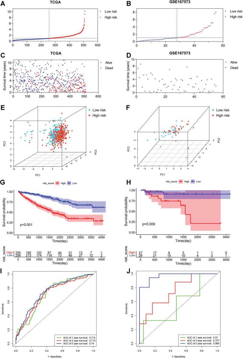 https://cdn.ncbi.nlm.nih.gov/pmc/blobs/3f1a/11441883/60994ec44a9e/medi-103-e39874-g005.jpg