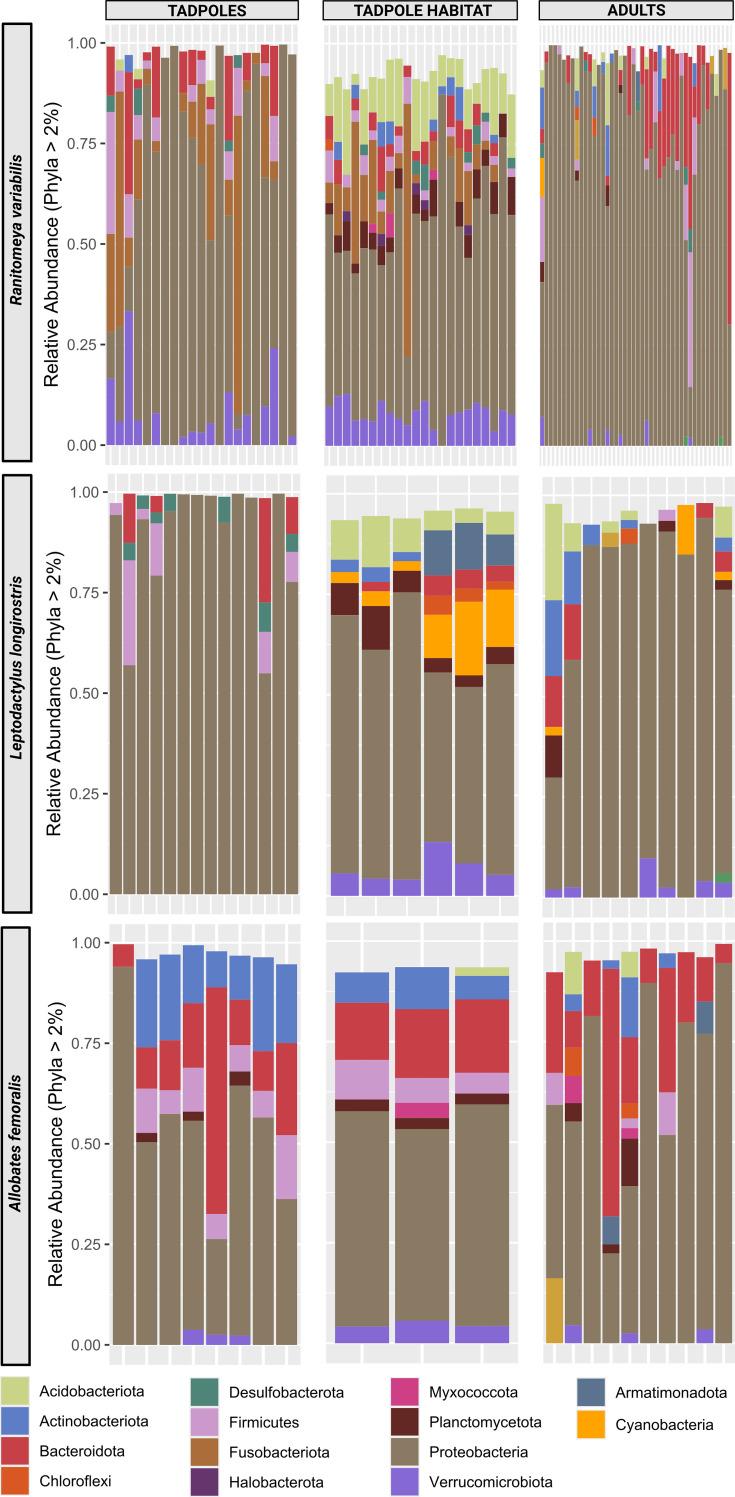 https://cdn.ncbi.nlm.nih.gov/pmc/blobs/3f1a/12313234/11030a7d32e9/elife-103331-fig2-figsupp2.jpg