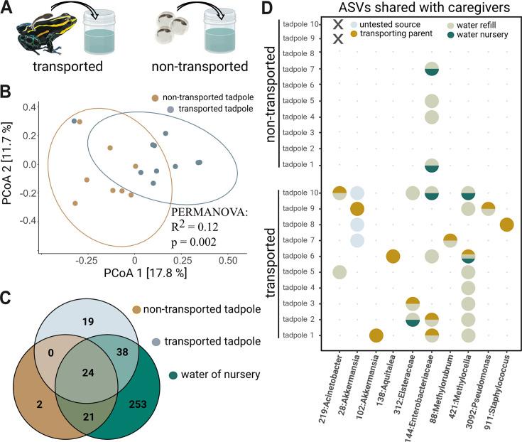 https://cdn.ncbi.nlm.nih.gov/pmc/blobs/3f1a/12313234/51072e3c4aa4/elife-103331-fig4.jpg