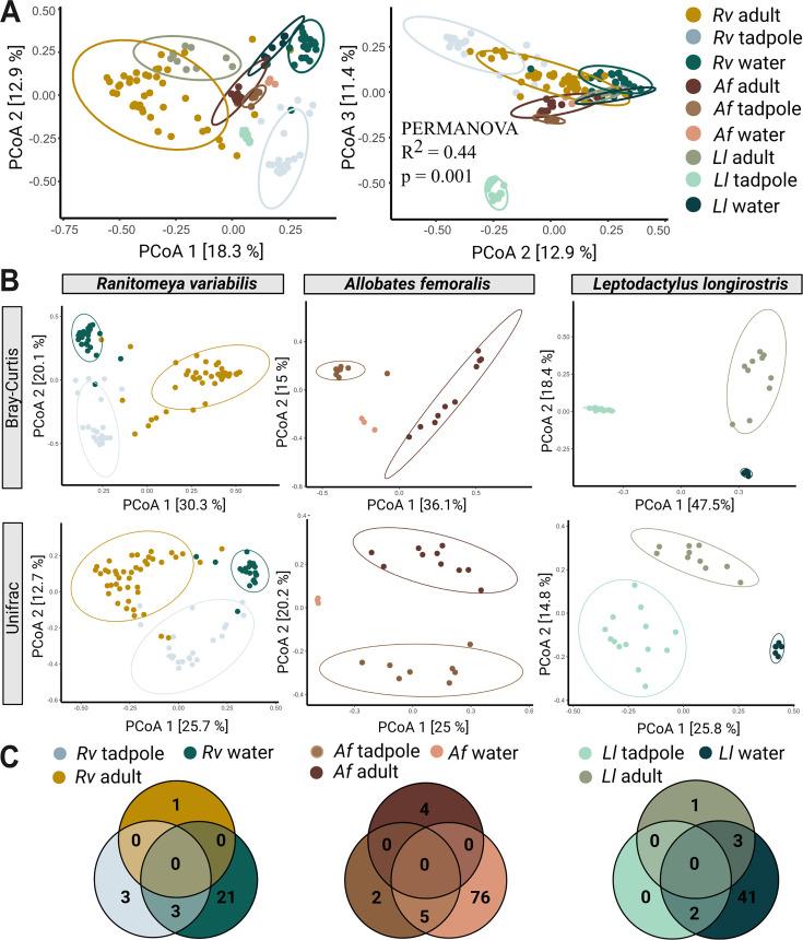 https://cdn.ncbi.nlm.nih.gov/pmc/blobs/3f1a/12313234/7a81acb225bc/elife-103331-fig3.jpg
