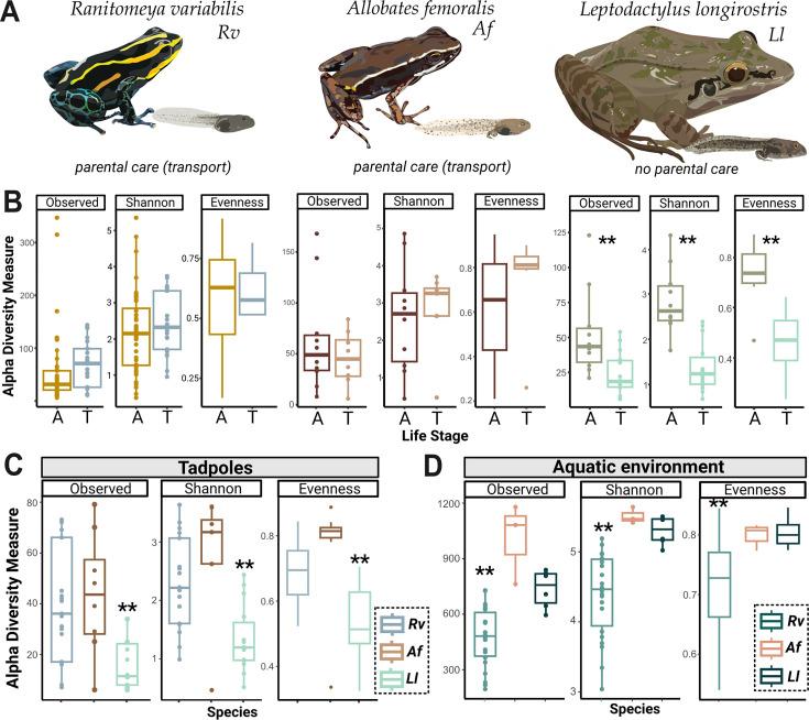 https://cdn.ncbi.nlm.nih.gov/pmc/blobs/3f1a/12313234/8d757c422203/elife-103331-fig2.jpg