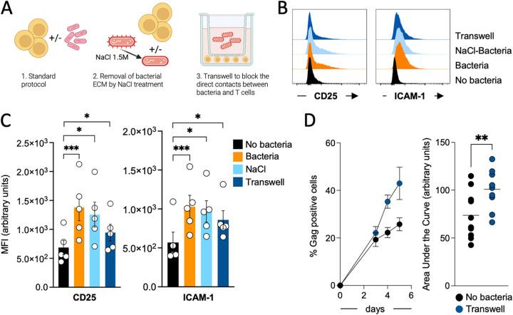 https://cdn.ncbi.nlm.nih.gov/pmc/blobs/3f1b/10100953/7d92138baee9/spectrum.04313-22-f006.jpg