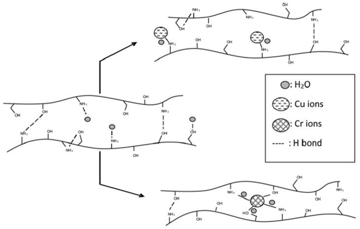 https://cdn.ncbi.nlm.nih.gov/pmc/blobs/3f1c/11679154/073c9e8684f6/polymers-16-03611-g008.jpg