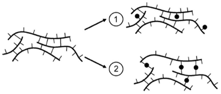 https://cdn.ncbi.nlm.nih.gov/pmc/blobs/3f1c/11679154/aac3b15586cd/polymers-16-03611-g003.jpg