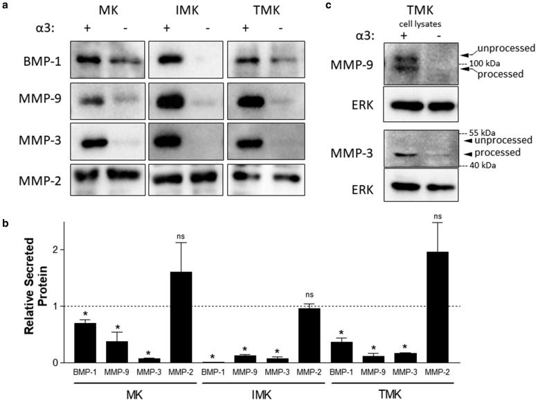 https://cdn.ncbi.nlm.nih.gov/pmc/blobs/3f1c/8659409/bf9aafd46e4c/gr2.jpg