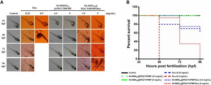https://cdn.ncbi.nlm.nih.gov/pmc/blobs/3f1d/9307501/7e19fbf6cfcf/fchem-10-931584-g006.jpg
