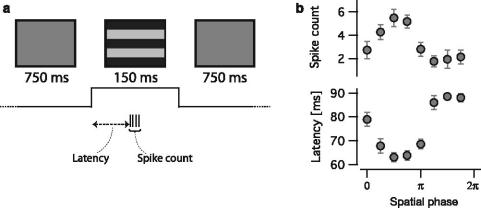 https://cdn.ncbi.nlm.nih.gov/pmc/blobs/3f1f/2784078/e2847663645a/422_2008_Article_252_Fig3.jpg