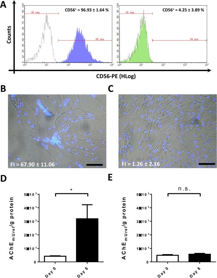 https://cdn.ncbi.nlm.nih.gov/pmc/blobs/3f20/5864011/730fd806a3d3/pone.0194561.g001.jpg