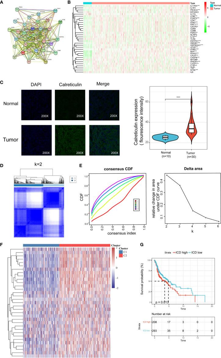https://cdn.ncbi.nlm.nih.gov/pmc/blobs/3f20/8640500/0003175e9af0/fimmu-12-781466-g001.jpg