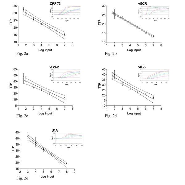 https://cdn.ncbi.nlm.nih.gov/pmc/blobs/3f22/126271/253fd0ef8c29/1471-2334-2-18-2.jpg