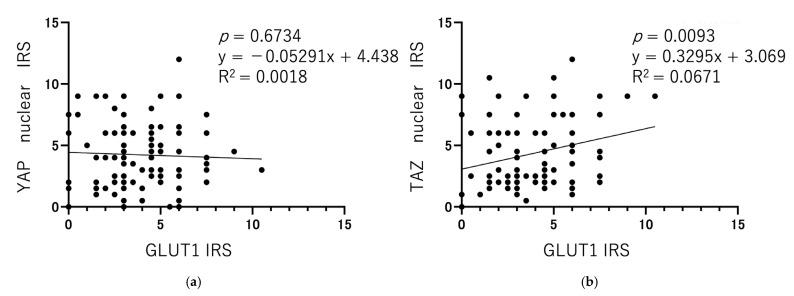 https://cdn.ncbi.nlm.nih.gov/pmc/blobs/3f25/12345884/af28d435b01b/cancers-17-02554-g004.jpg