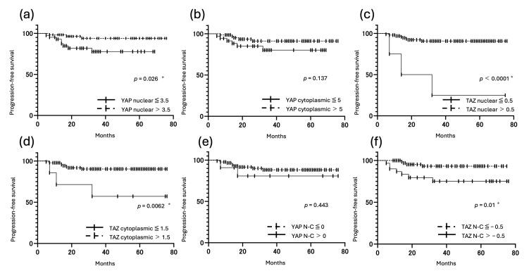 https://cdn.ncbi.nlm.nih.gov/pmc/blobs/3f25/12345884/bff00ee14ed8/cancers-17-02554-g007.jpg
