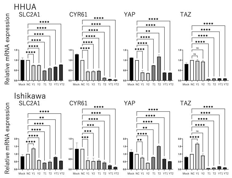 https://cdn.ncbi.nlm.nih.gov/pmc/blobs/3f25/12345884/e6d1dd1ef81f/cancers-17-02554-g002.jpg