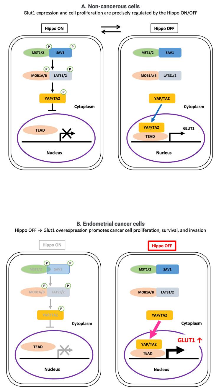 https://cdn.ncbi.nlm.nih.gov/pmc/blobs/3f25/12345884/f10053fec8f6/cancers-17-02554-g009.jpg