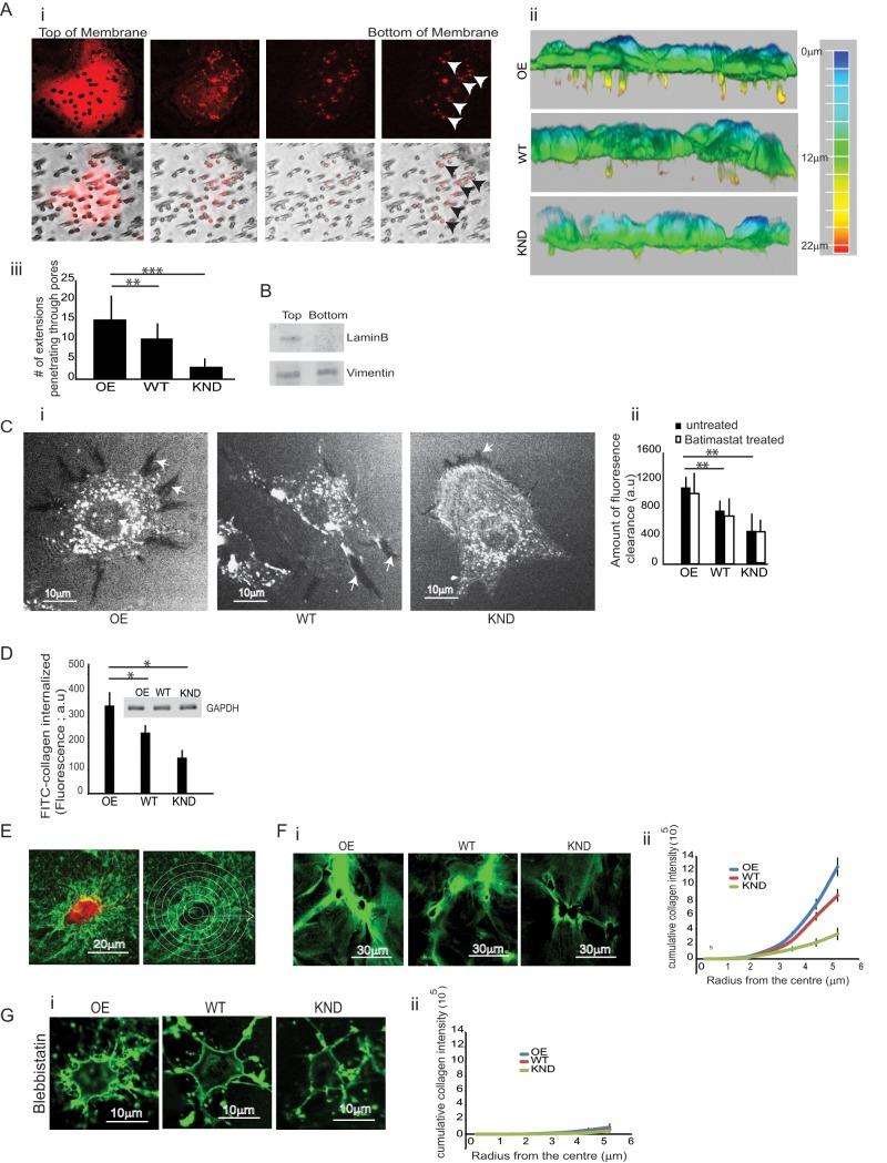 https://cdn.ncbi.nlm.nih.gov/pmc/blobs/3f25/4462945/3a64c582b2da/2279fig3.jpg