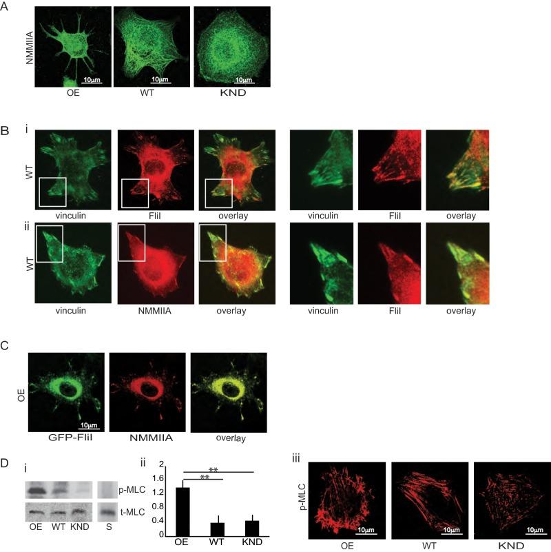 https://cdn.ncbi.nlm.nih.gov/pmc/blobs/3f25/4462945/46ec9897c890/2279fig4.jpg