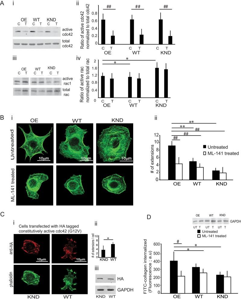 https://cdn.ncbi.nlm.nih.gov/pmc/blobs/3f25/4462945/575ed9748ec4/2279fig2.jpg