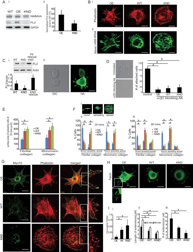 https://cdn.ncbi.nlm.nih.gov/pmc/blobs/3f25/4462945/5bea98674464/2279fig1.jpg