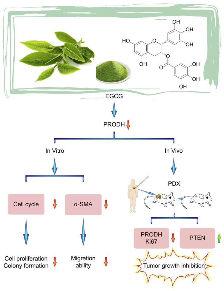 https://cdn.ncbi.nlm.nih.gov/pmc/blobs/3f27/9261841/b18994c52939/jfda-29-01-113f6.jpg