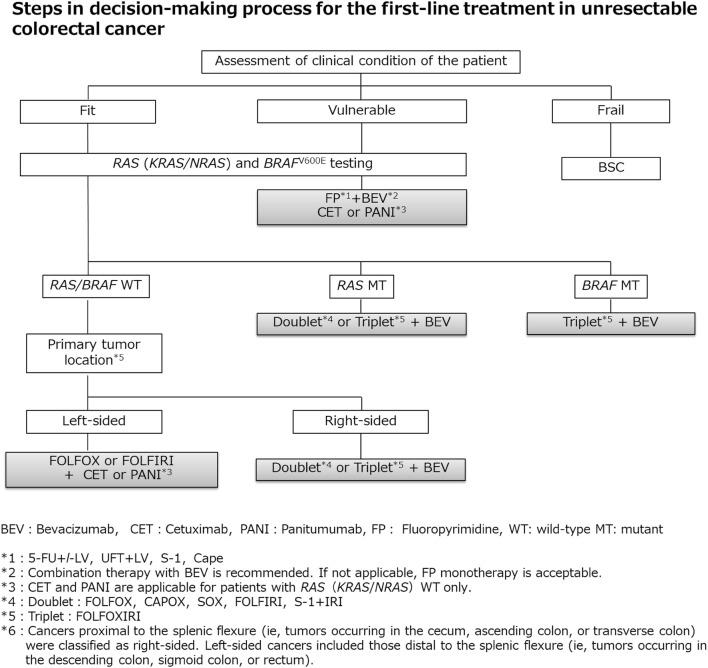 https://cdn.ncbi.nlm.nih.gov/pmc/blobs/3f28/6946738/3b01227ba2cd/10147_2019_1485_Fig6_HTML.jpg