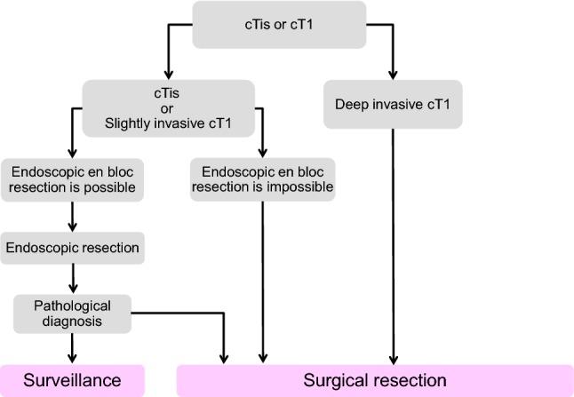 https://cdn.ncbi.nlm.nih.gov/pmc/blobs/3f28/6946738/e3cc69f0e023/10147_2019_1485_Fig1_HTML.jpg