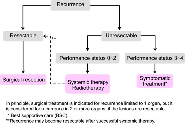 https://cdn.ncbi.nlm.nih.gov/pmc/blobs/3f28/6946738/e8abc3272e83/10147_2019_1485_Fig4_HTML.jpg