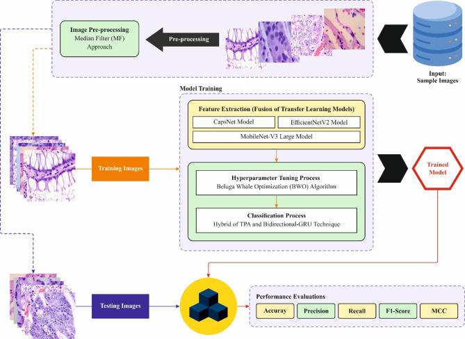 https://cdn.ncbi.nlm.nih.gov/pmc/blobs/3f2b/12234976/589e207dc1e3/41598_2025_10246_Fig1_HTML.jpg
