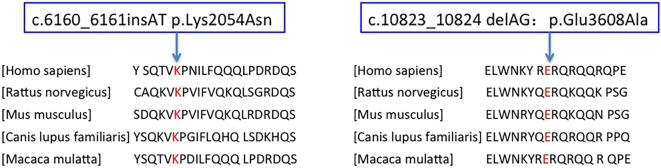 https://cdn.ncbi.nlm.nih.gov/pmc/blobs/3f2d/8710367/196315fecd0b/1349-7235-60-3721-g005.jpg