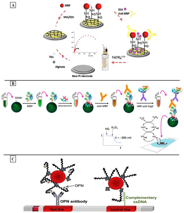 https://cdn.ncbi.nlm.nih.gov/pmc/blobs/3f2f/10934086/f82b4fe46c47/sensors-24-01510-g003.jpg