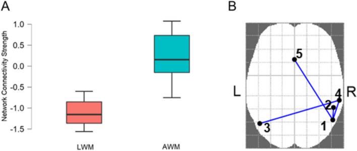 https://cdn.ncbi.nlm.nih.gov/pmc/blobs/3f30/11077889/7dd8c5af489a/12887_2024_4791_Fig3_HTML.jpg