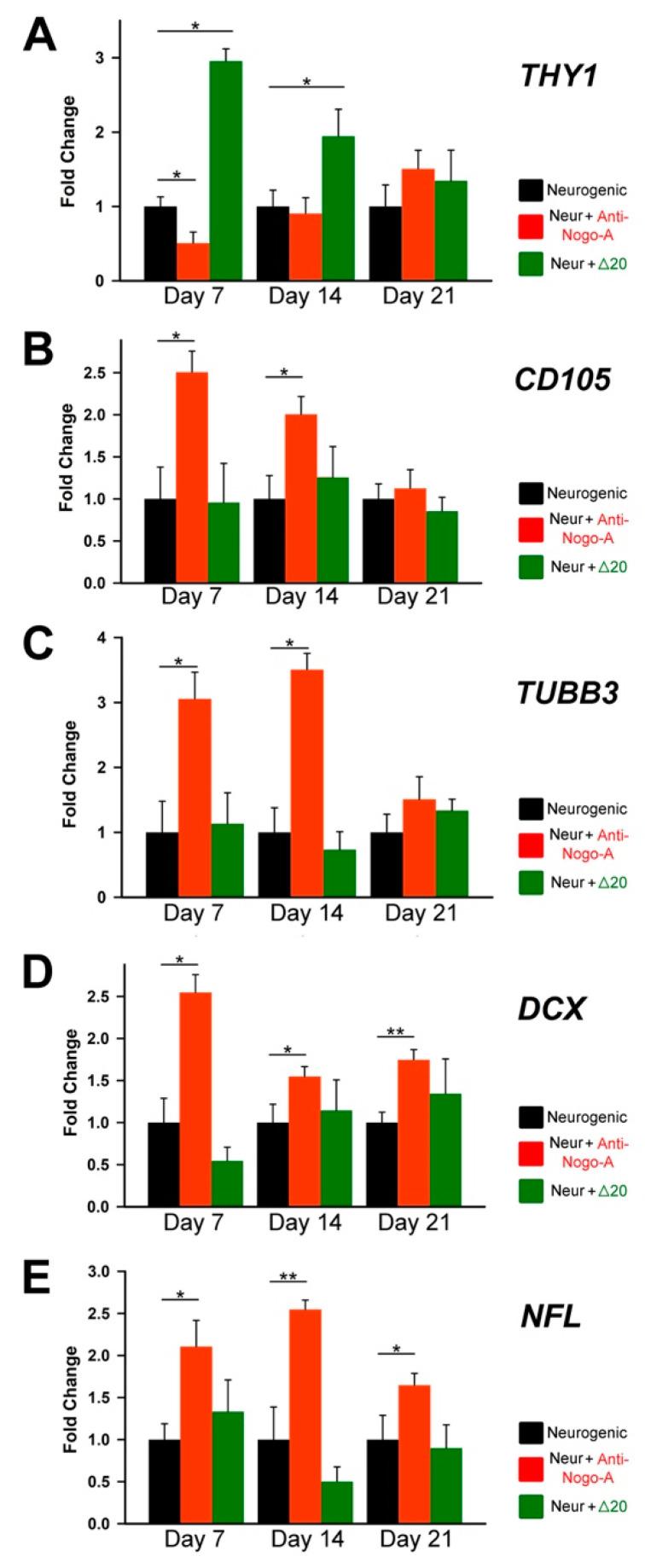 https://cdn.ncbi.nlm.nih.gov/pmc/blobs/3f30/9657129/6d0fa6e2e625/cells-11-03415-g009.jpg