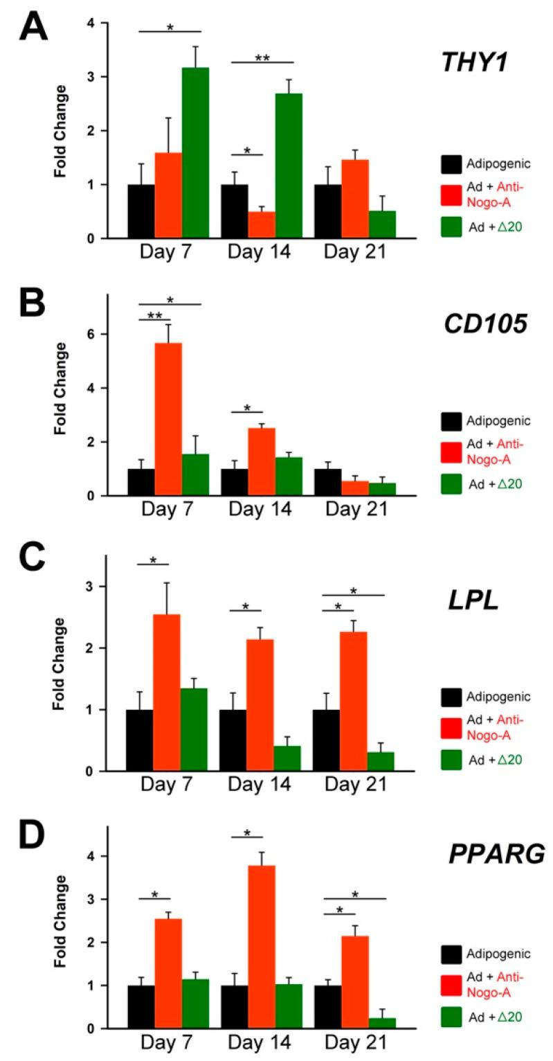 https://cdn.ncbi.nlm.nih.gov/pmc/blobs/3f30/9657129/7f3b32dbd012/cells-11-03415-g007.jpg