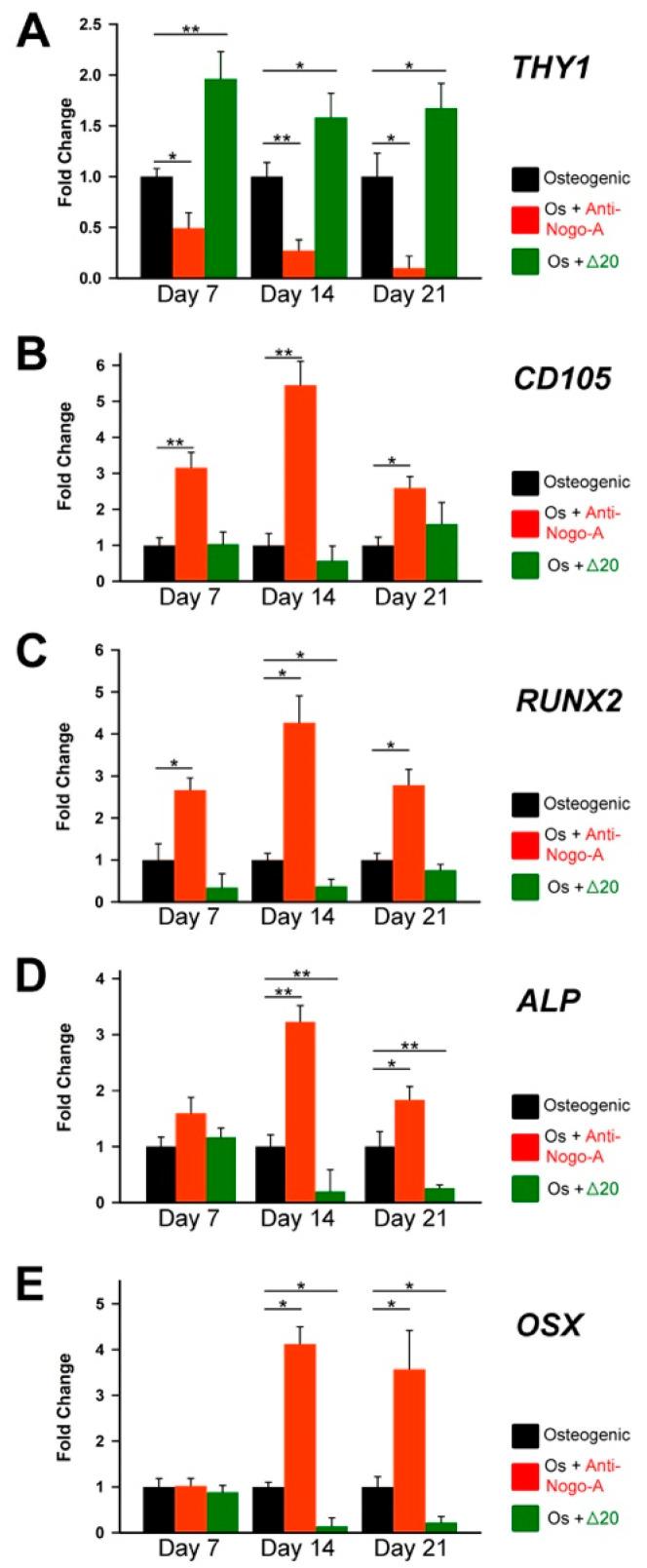 https://cdn.ncbi.nlm.nih.gov/pmc/blobs/3f30/9657129/90097bfc0354/cells-11-03415-g005.jpg