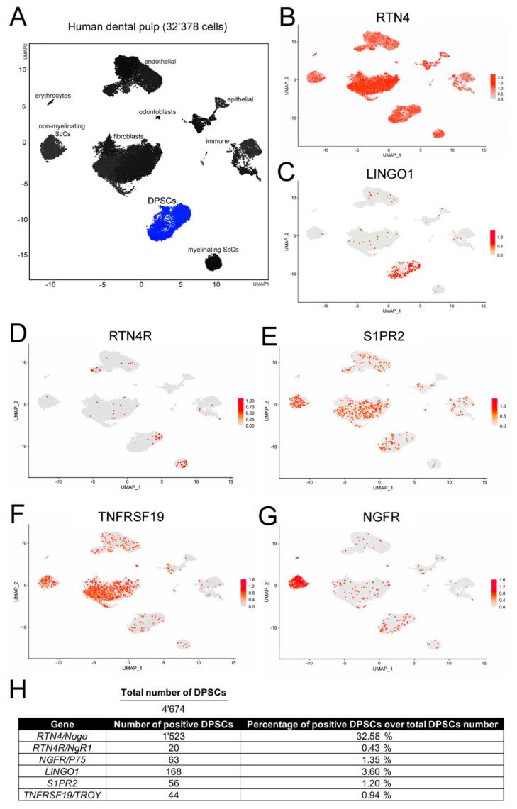 https://cdn.ncbi.nlm.nih.gov/pmc/blobs/3f30/9657129/a196366ef5f4/cells-11-03415-g003.jpg