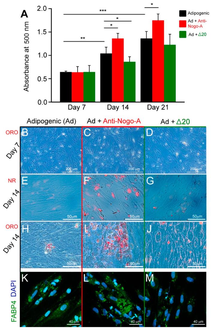 https://cdn.ncbi.nlm.nih.gov/pmc/blobs/3f30/9657129/e93fb29e9f1a/cells-11-03415-g006.jpg