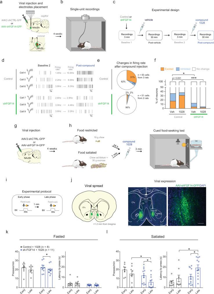 https://cdn.ncbi.nlm.nih.gov/pmc/blobs/3f31/11696184/3bbef04c9d29/41467_2024_55554_Fig9_HTML.jpg