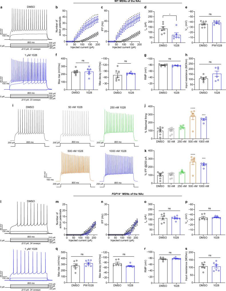 https://cdn.ncbi.nlm.nih.gov/pmc/blobs/3f31/11696184/64dd336d2517/41467_2024_55554_Fig5_HTML.jpg