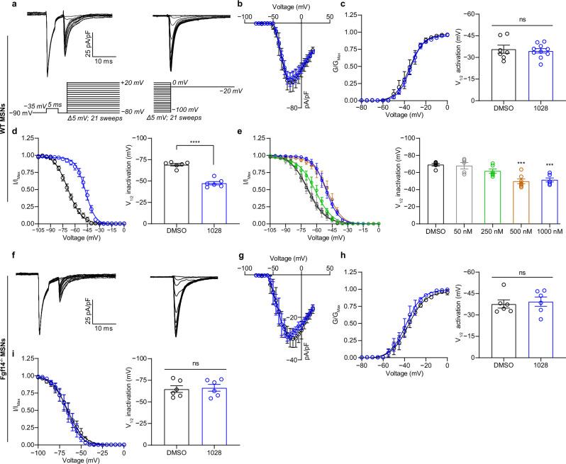 https://cdn.ncbi.nlm.nih.gov/pmc/blobs/3f31/11696184/d253f56e8576/41467_2024_55554_Fig4_HTML.jpg