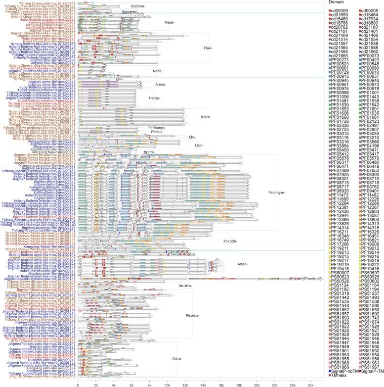 https://cdn.ncbi.nlm.nih.gov/pmc/blobs/3f33/11874709/0d69eb499d32/40168_2025_2059_Fig5_HTML.jpg