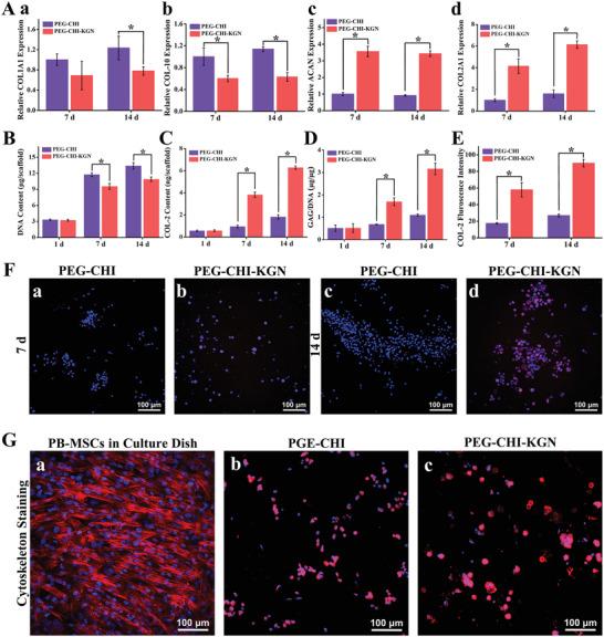 https://cdn.ncbi.nlm.nih.gov/pmc/blobs/3f34/9762312/e40d5c9abf49/ADVS-9-2105571-g006.jpg