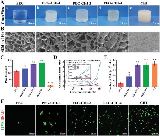 https://cdn.ncbi.nlm.nih.gov/pmc/blobs/3f34/9762312/e8067b7a3c03/ADVS-9-2105571-g003.jpg