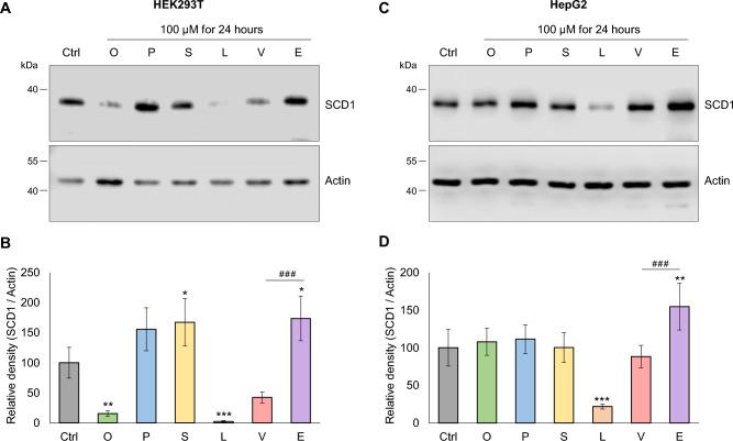 https://cdn.ncbi.nlm.nih.gov/pmc/blobs/3f35/10761808/5e5fddd314dc/41598_2023_50700_Fig1_HTML.jpg
