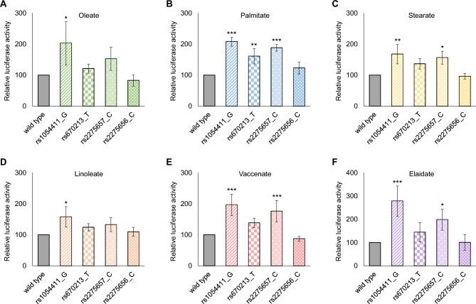 https://cdn.ncbi.nlm.nih.gov/pmc/blobs/3f35/10761808/8a243fdbde6f/41598_2023_50700_Fig5_HTML.jpg