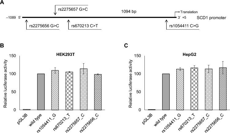 https://cdn.ncbi.nlm.nih.gov/pmc/blobs/3f35/10761808/d6a97a71daaa/41598_2023_50700_Fig4_HTML.jpg