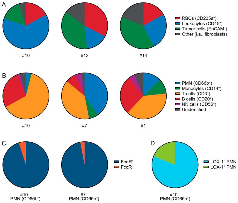 https://cdn.ncbi.nlm.nih.gov/pmc/blobs/3f37/12071589/b20d14153117/cells-14-00632-g005.jpg