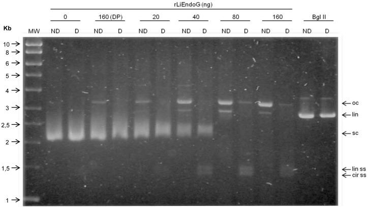 https://cdn.ncbi.nlm.nih.gov/pmc/blobs/3f38/3971528/a56733d19e23/pone.0089526.g001.jpg